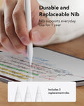 Durable and replaceable nib